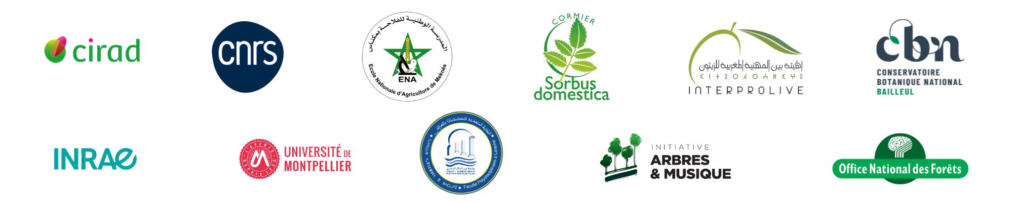 Ecole nationale d'agriculture de Meknès, Association Cormier Sorbus domestica, Université de Montpellier, INRAE, Cirad, Association pour la Conservation, l’Étude et la Valorisation des Bois de Lutherie et de la Facture Instrumentale Ecole nationale d'agriculture de Meknès, Association Cormier Sorbus domestica, Université de Montpellier, INRAE, Cirad, Association pour la Conservation, l’Étude et la Valorisation des Bois de Lutherie et de la Facture Instrumentale