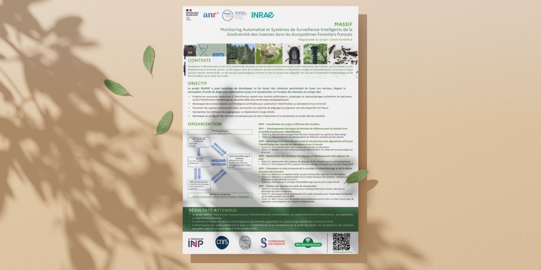 Poster MASSIF Poster MASSIF