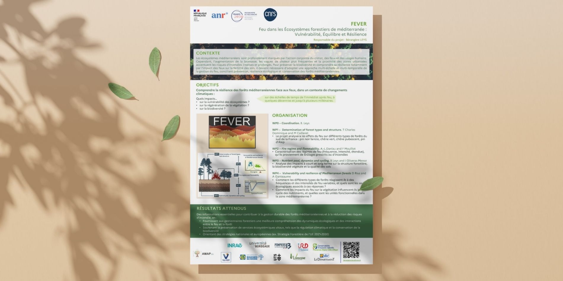 Poster FEVER Poster FEVER