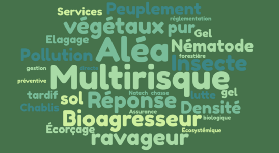 Nuage de mots_multirisque.png