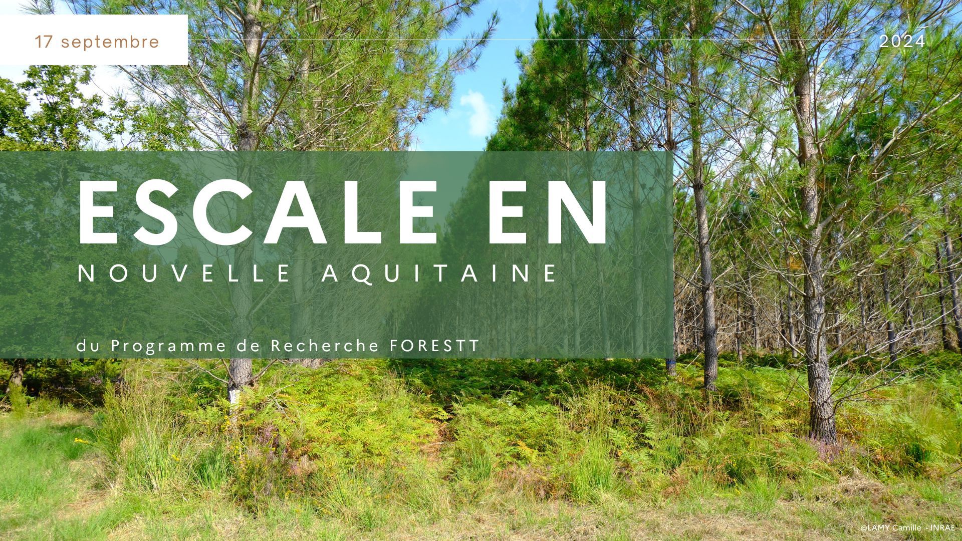 Reportage photo Escale en Nouvelle Aquitaine