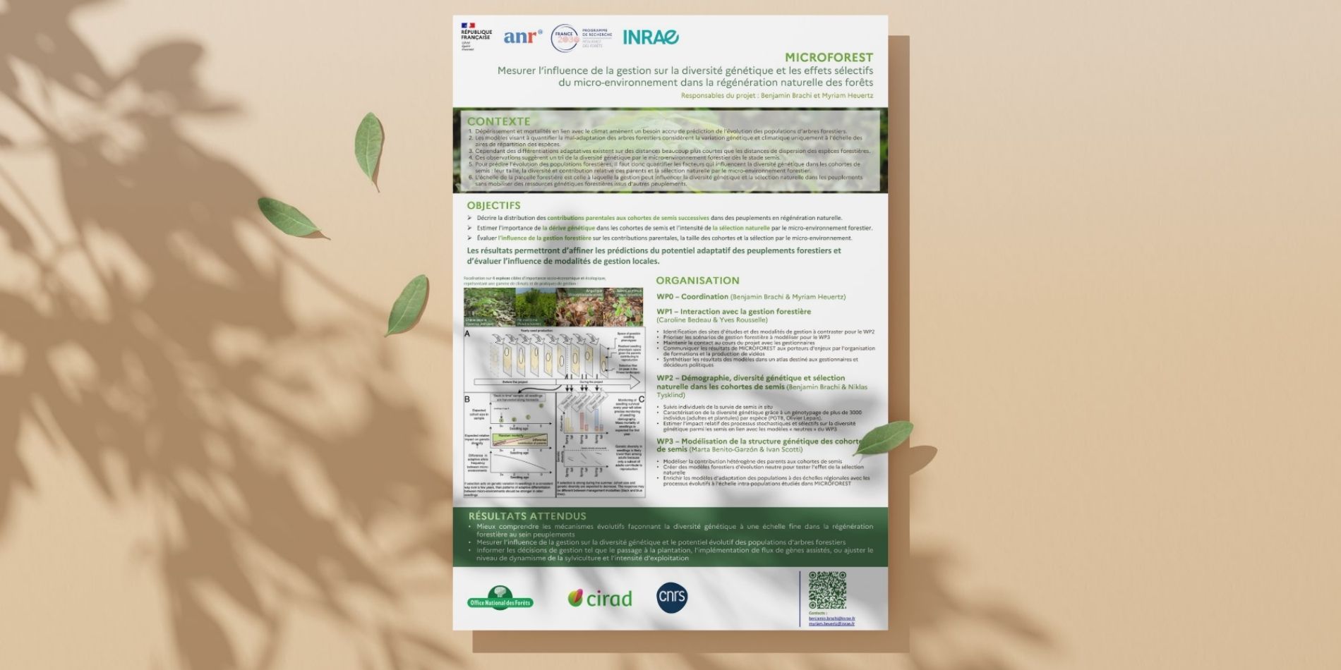 Poster MICROFOREST