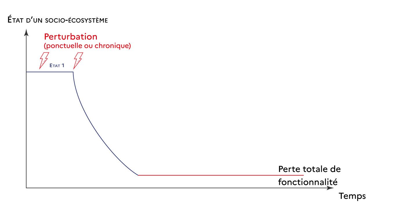 Graphique n°6 Résilience