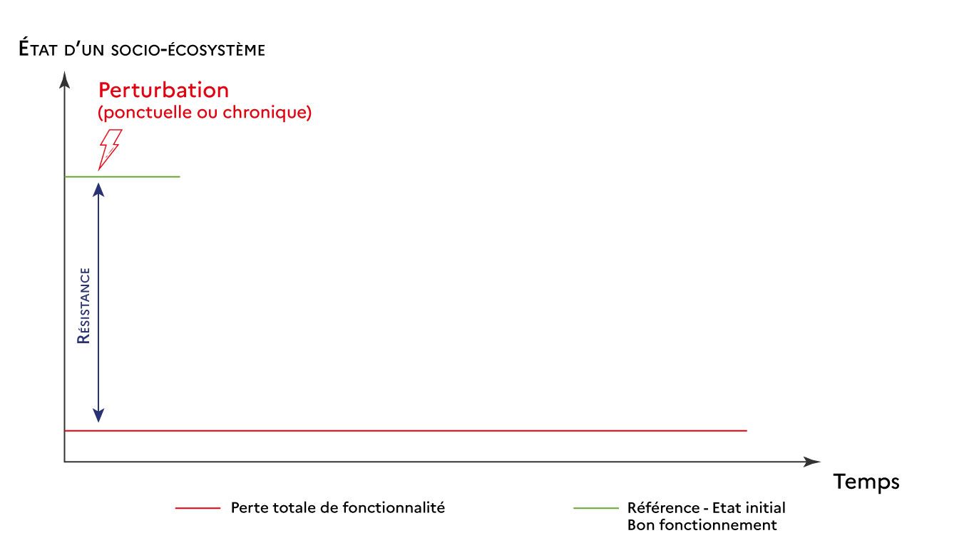 Graphique n°2 Résilience
