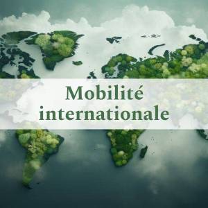 Mobilité internationale