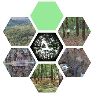 OPTMix élément graphique OPTMix élément graphique