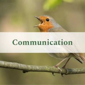 Communication