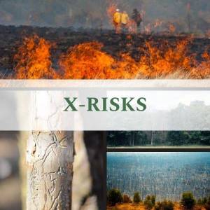 X-RISKS