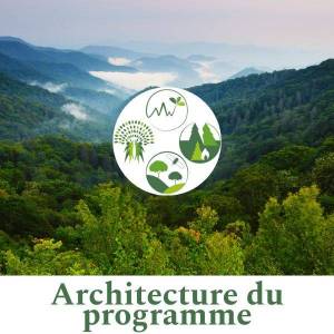 Architecture du programme