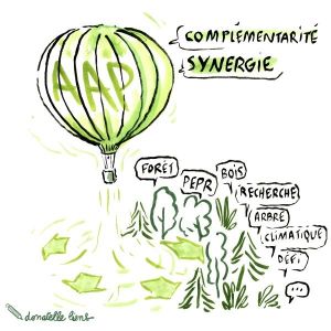 AAP illustration Donatelle Liens