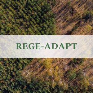 REGE-ADAPT