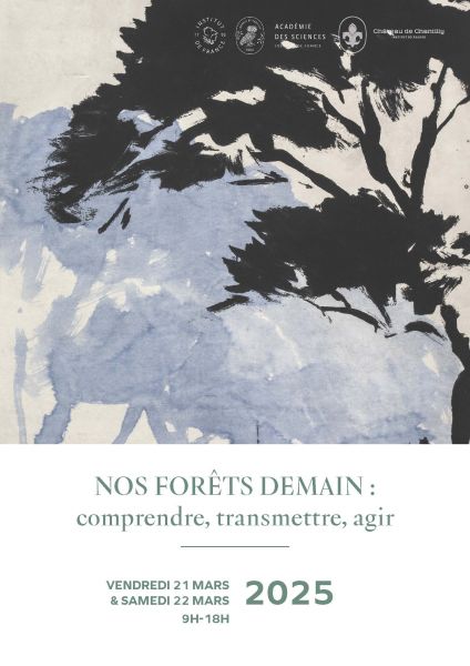 Affiche Colloque Nos Forêt Demain